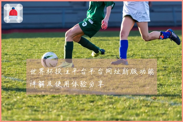 世界杯投注平台平台网址新版功能详解及使用体验分享
