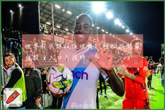 世界杯买球投注攻略：轻松找到最佳投注入口与技巧