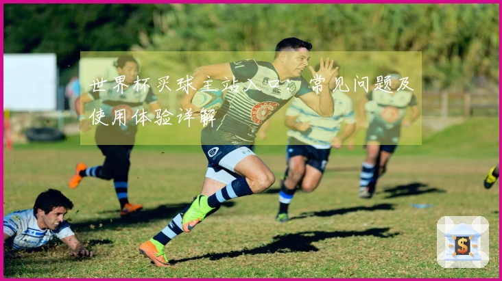 世界杯买球主站入口：常见问题及使用体验详解