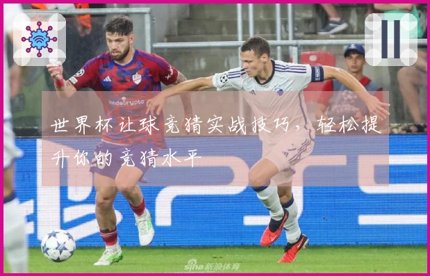 世界杯让球竞猜实战技巧，轻松提升你的竞猜水平