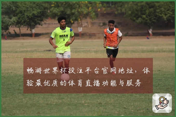 畅游世界杯投注平台官网地址，体验最优质的体育直播功能与服务
