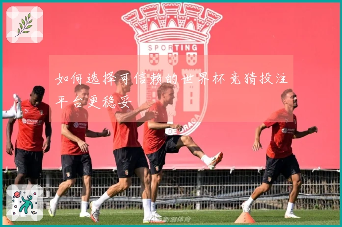 如何选择可信赖的世界杯竞猜投注平台更稳妥