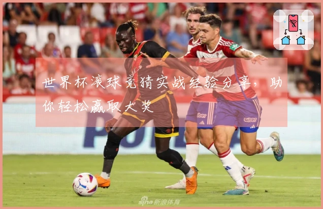 世界杯滚球竞猜实战经验分享，助你轻松赢取大奖