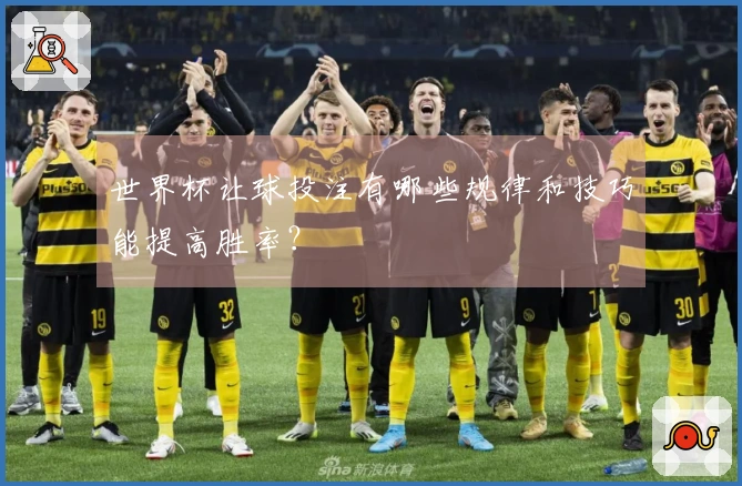 世界杯让球投注有哪些规律和技巧能提高胜率？