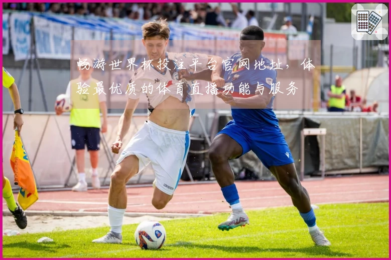 畅游世界杯投注平台官网地址,体验最优质的体育直播功能与服务