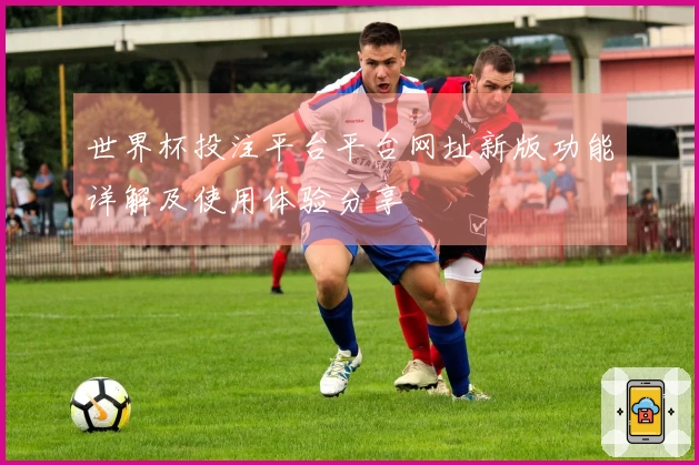 世界杯投注平台平台网址新版功能详解及使用体验分享