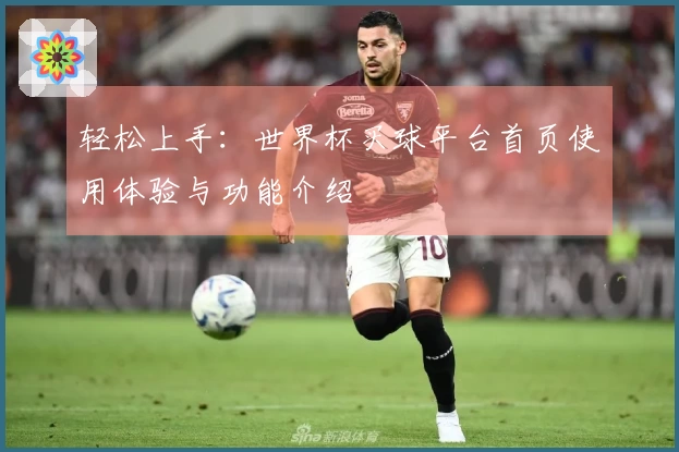 轻松上手:世界杯买球平台首页使用体验与功能介绍