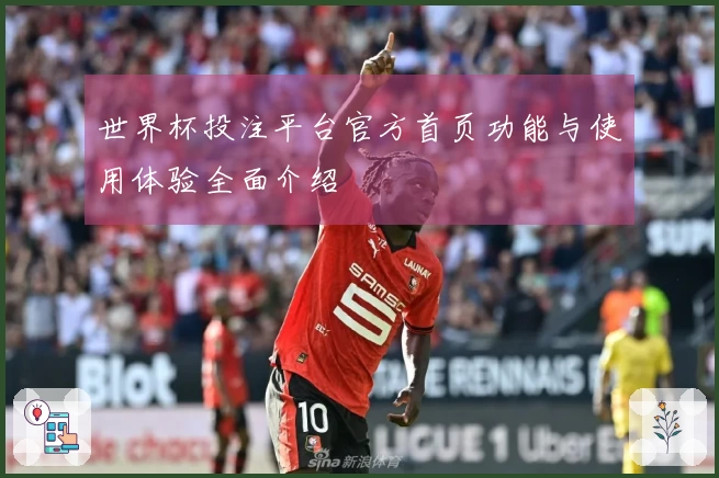 世界杯投注平台官方首页功能与使用体验全面介绍